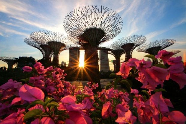 Du lịch singapore malaysia indonesia giá rẻ - Gardens By The Bay