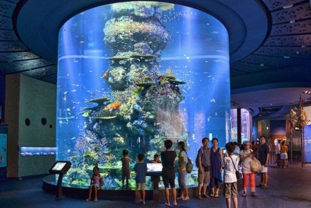 Tour du lịch Singapore 2023 từ Đà Nẵng - Thủy cung Sea Aquarium 